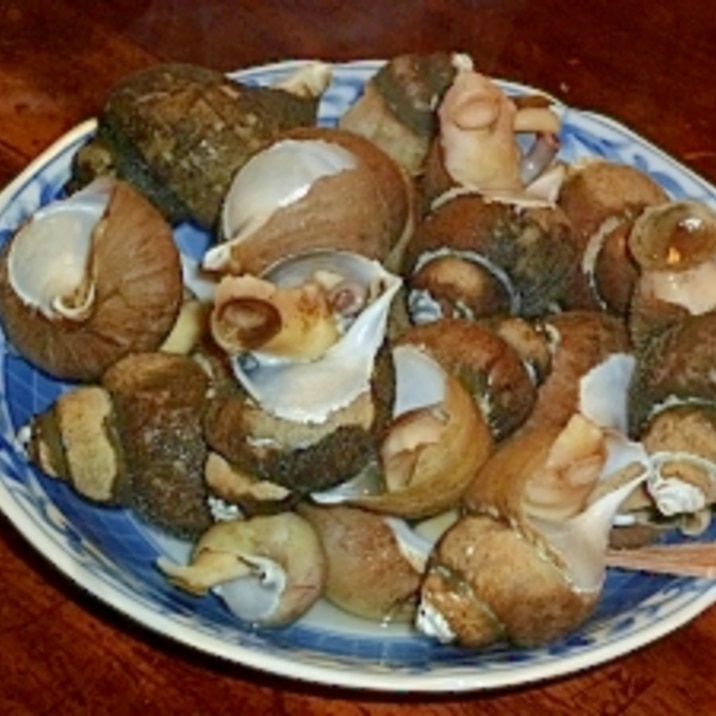 白バイガイの塩茹で レシピ 作り方 By Tententen48 楽天レシピ 白バイガイの塩茹で レシピ 作り方 By Tententen48 楽天レシピ